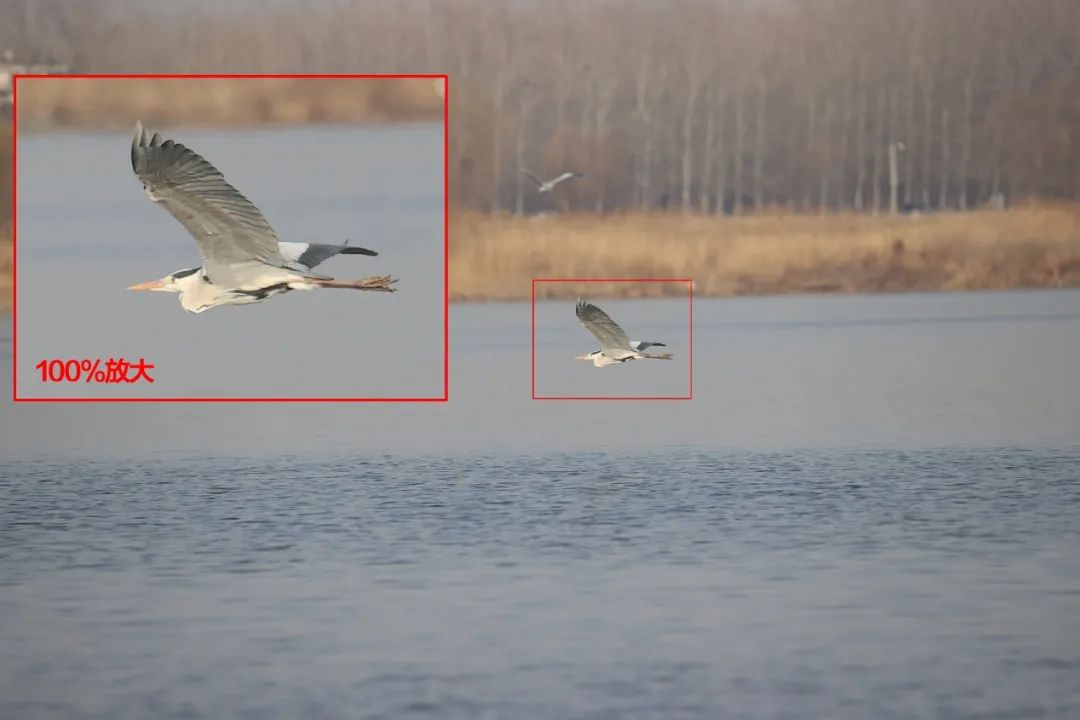 佳能最强eos10bit视频机,佳能eos-1dxmarkiii