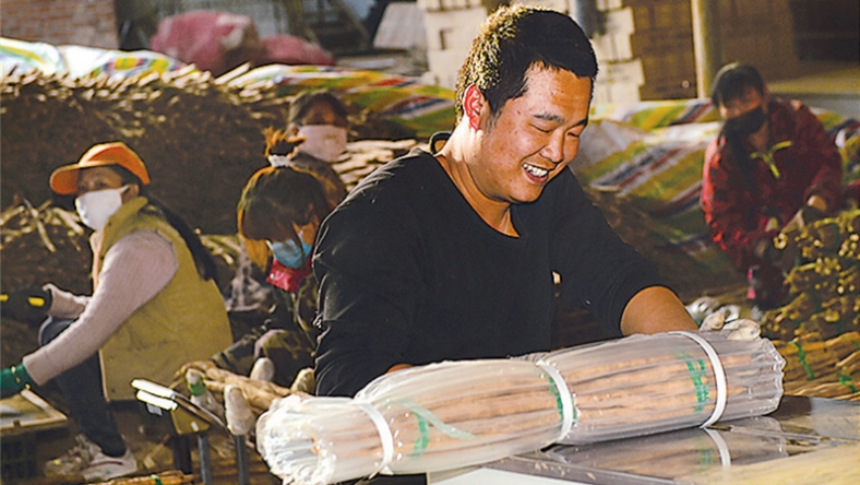 蠡县麻山药历史,蠡县麻山药