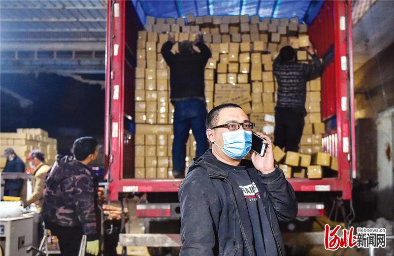 蠡县麻山药历史,蠡县麻山药