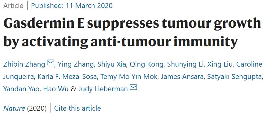 癌症干细胞免疫疗法,癌症免疫疗法刺激胃吗