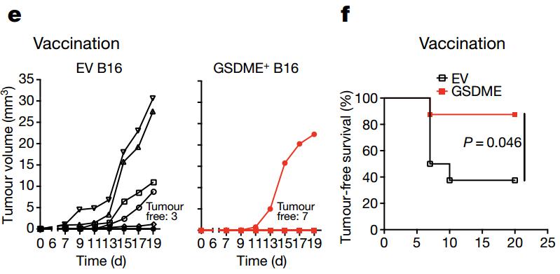癌症干细胞免疫疗法,癌症免疫疗法刺激胃吗