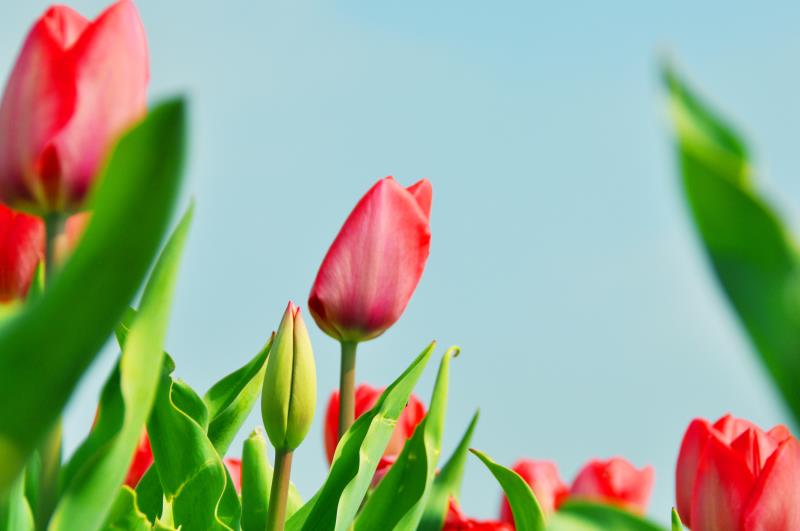 3月16日·淮南要闻及抗击疫情快报