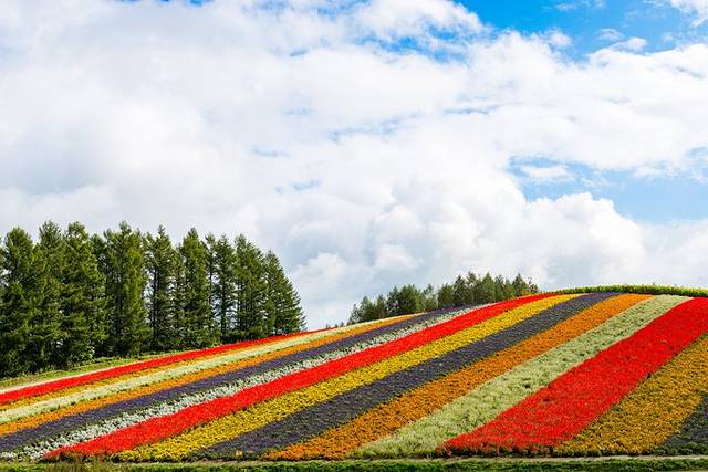 附近的温泉住宿推荐,温泉旅馆