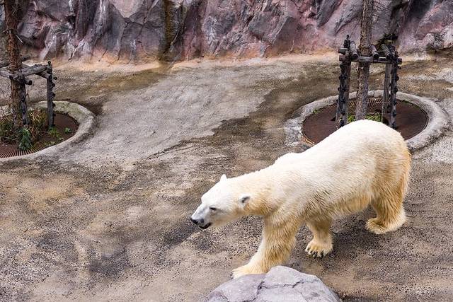 附近的温泉住宿推荐,温泉旅馆