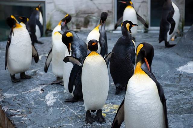 附近的温泉住宿推荐,温泉旅馆