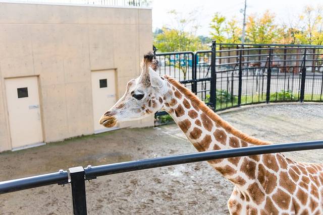 附近的温泉住宿推荐,温泉旅馆
