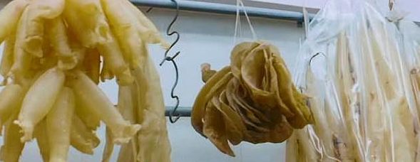 不整容不医美人真的会变吗,不整容的自然美人才是真正的美女