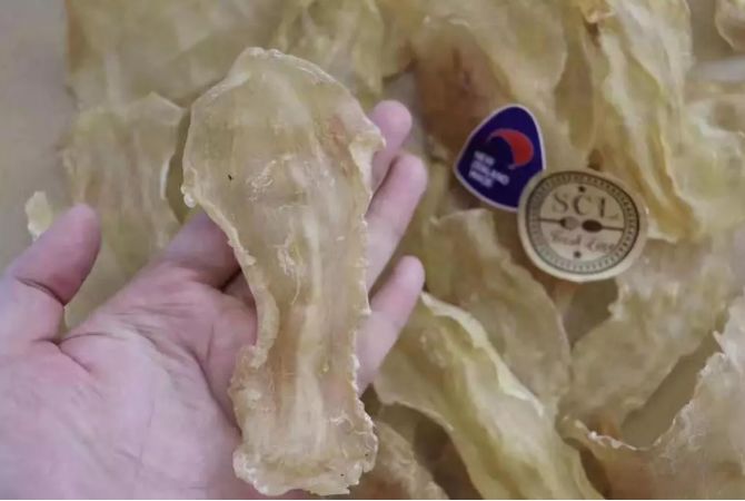 不整容不医美人真的会变吗,不整容的自然美人才是真正的美女