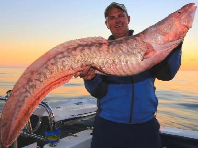 不整容不医美人真的会变吗,不整容的自然美人才是真正的美女