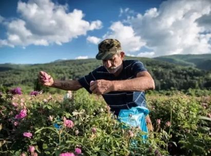 不整容不医美人真的会变吗,不整容的自然美人才是真正的美女