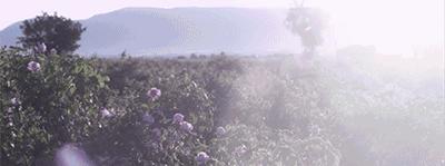 不整容不医美人真的会变吗,不整容的自然美人才是真正的美女