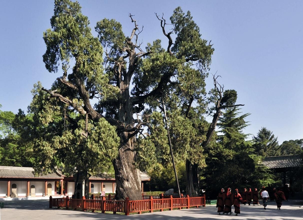 陕西延安黄土高原在哪看,延安在黄土高原上的位置