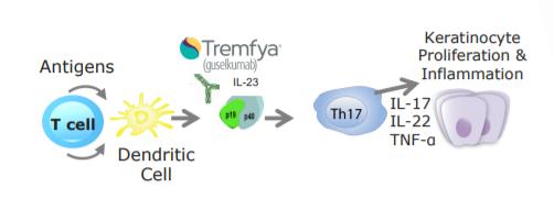 古塞奇尤单抗注射液什么时候上市 (古塞奇尤单抗什么时候上市)