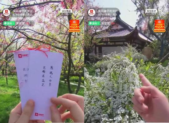 良品铺子产品更新换代策略,良品铺子以高端破局