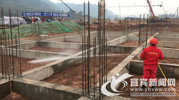 白蚁分飞期最佳治疗方法,白蚁分飞季防治方法