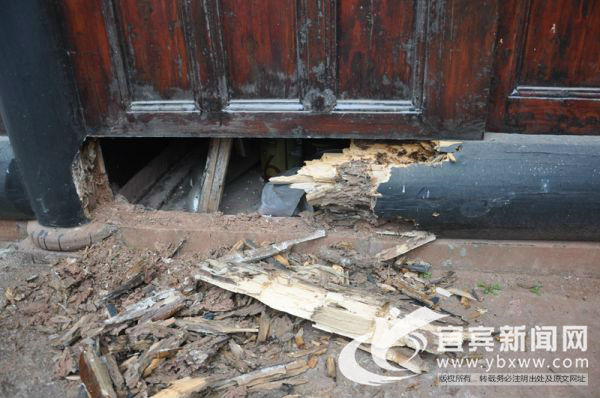 白蚁分飞期最佳治疗方法,白蚁分飞季防治方法