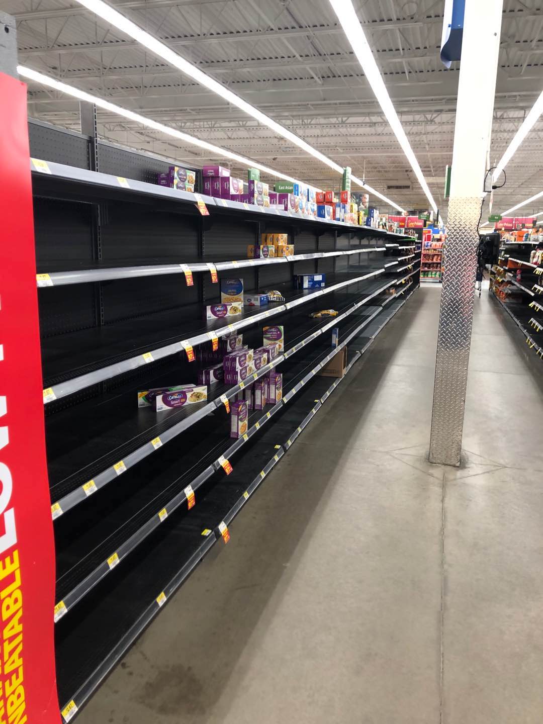 临沂人海外战疫|加拿大约克大学硕士周子倩：求职季，20份简历石沉大海