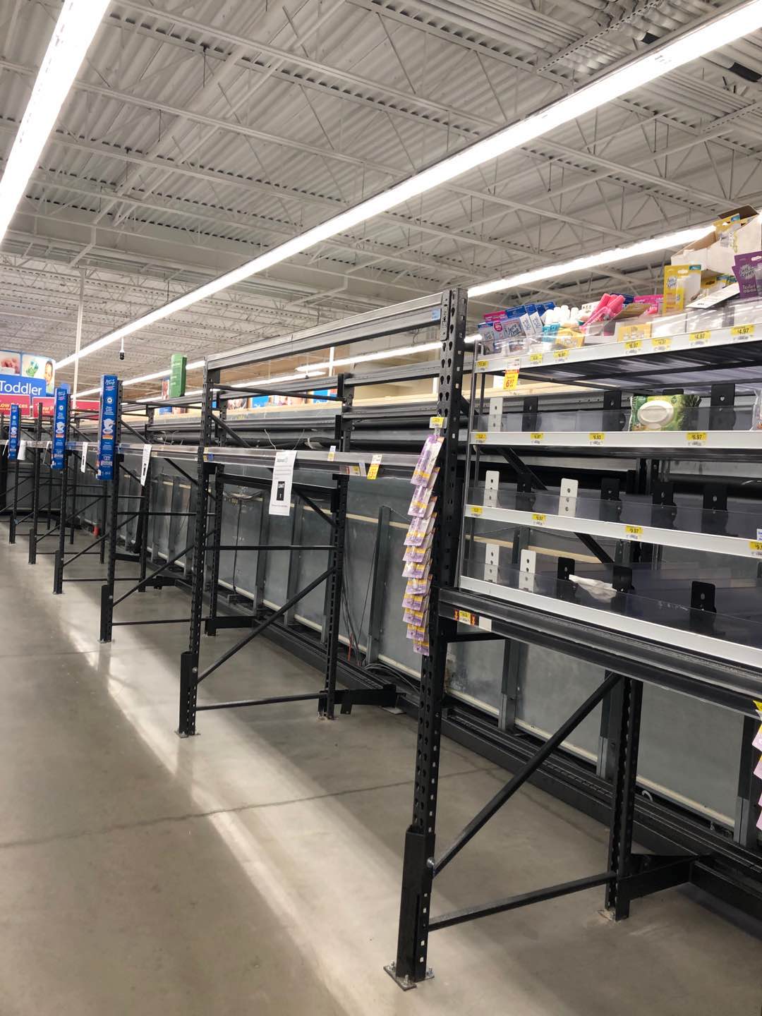 临沂人海外战疫|加拿大约克大学硕士周子倩：求职季，20份简历石沉大海