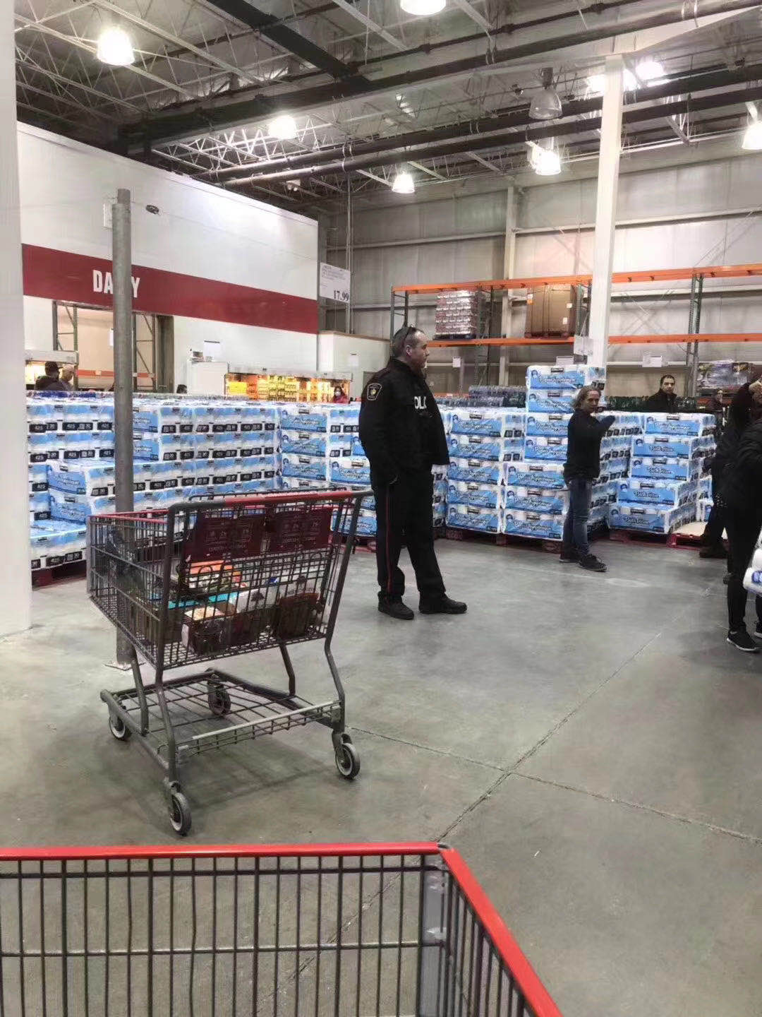 临沂人海外战疫|加拿大约克大学硕士周子倩：求职季，20份简历石沉大海