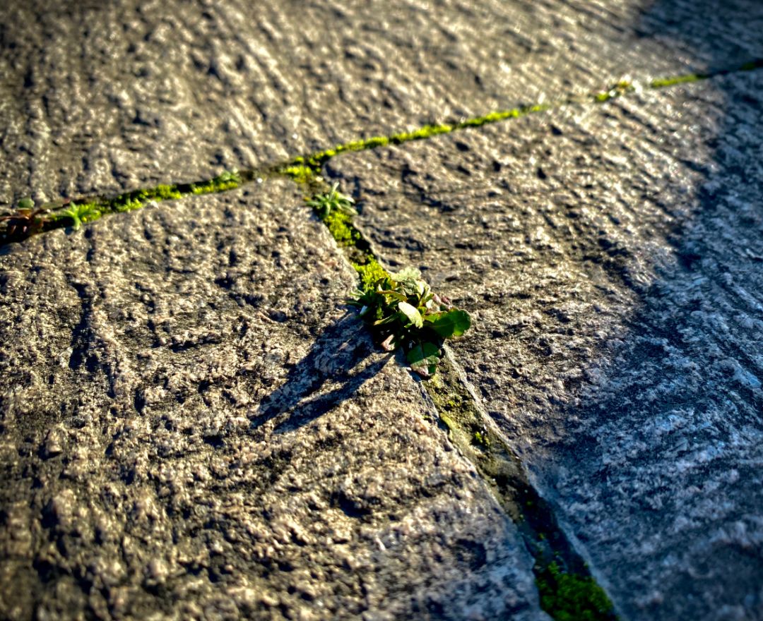 理清思路,明确目标:孩子休学后家长的学习指南||渡过