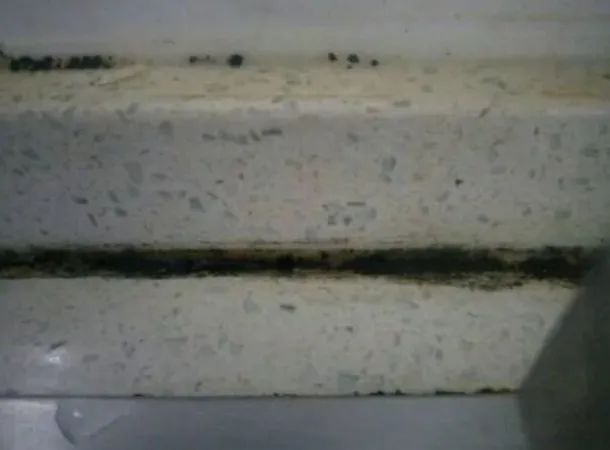 回南天霉菌感染,回南天霉菌怎么消