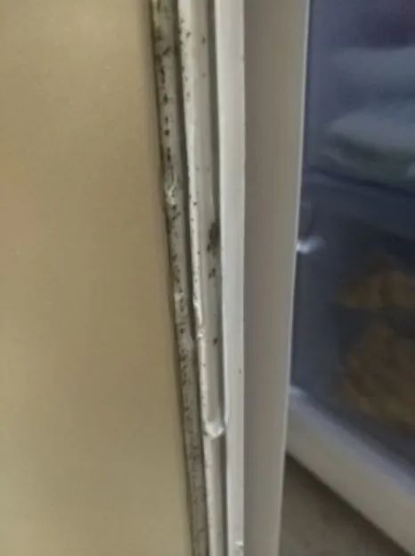 回南天霉菌感染,回南天霉菌怎么消