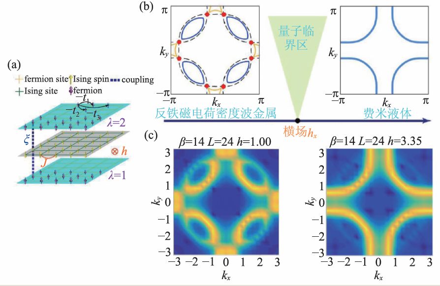 白马非马，非费米液体—非—费米液体|量子多体中的呐喊与彷徨之二