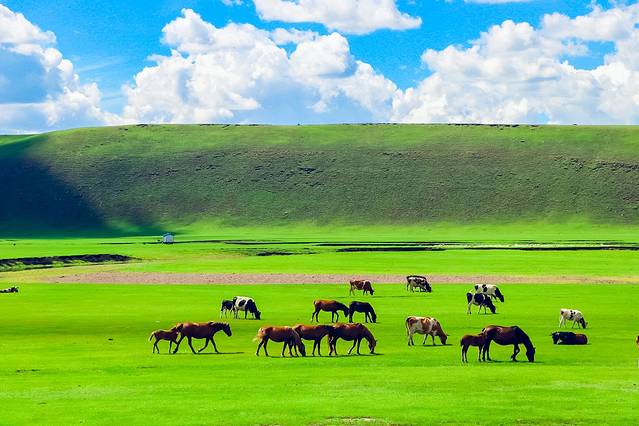 欢迎你来呼伦贝尔大草原,为你而来新疆歌曲拼音
