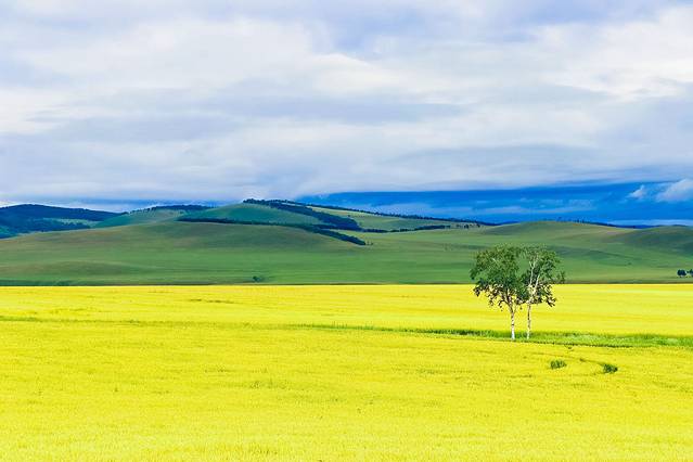 欢迎你来呼伦贝尔大草原,为你而来新疆歌曲拼音