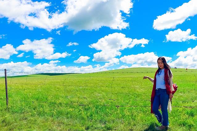 欢迎你来呼伦贝尔大草原,为你而来新疆歌曲拼音