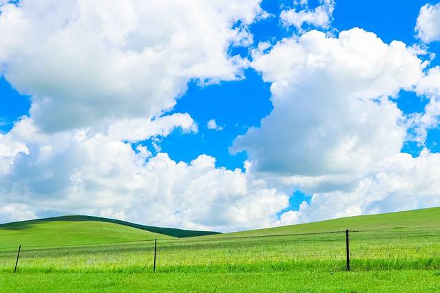 欢迎你来呼伦贝尔大草原,为你而来新疆歌曲拼音