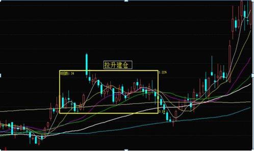 北大女博士回应炒股,北大女博士今日新闻