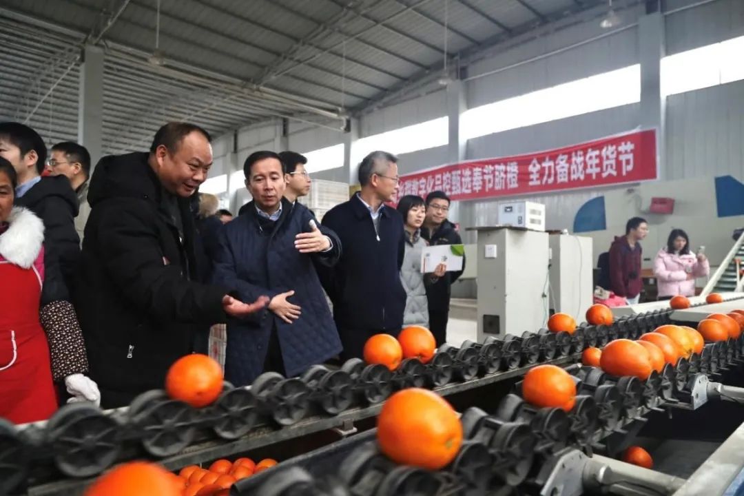 互联网助力扶贫——阿里巴巴脱贫基金探索适合中国国情的“互联网+扶贫”案例