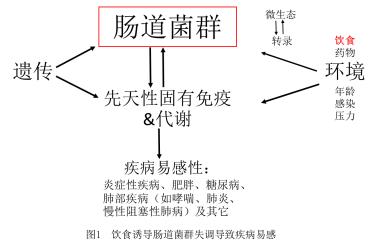 营养治疗是疾病的最终解决方案,营养治疗是解决慢性病的根源