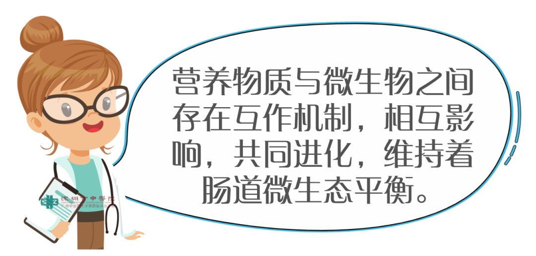 营养治疗是疾病的最终解决方案,营养治疗是解决慢性病的根源
