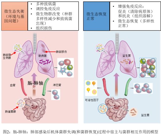 营养治疗是疾病的最终解决方案,营养治疗是解决慢性病的根源