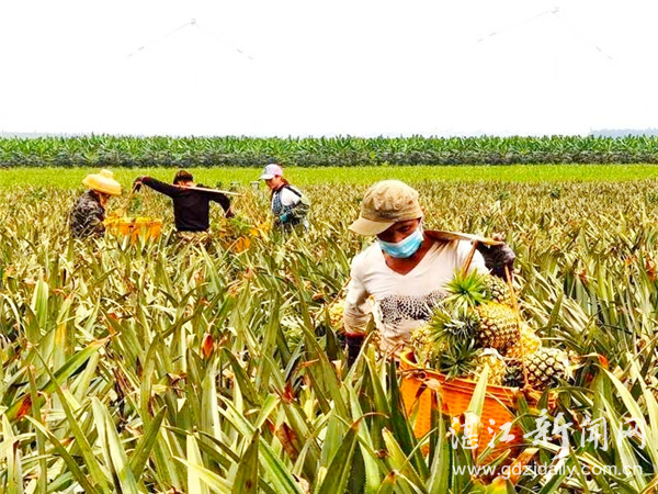 徐闻党建活动,徐闻党建招牌