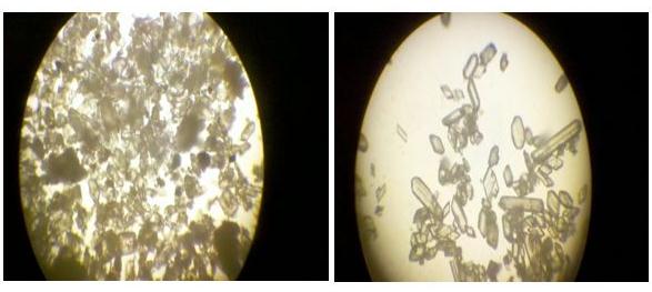 600mw燃煤机组烟气脱硫系统设计,脱硫塔浆液氯离子含量高怎么办