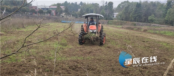 春耕复工正当时岳麓区坪塘街道全域振兴再加速