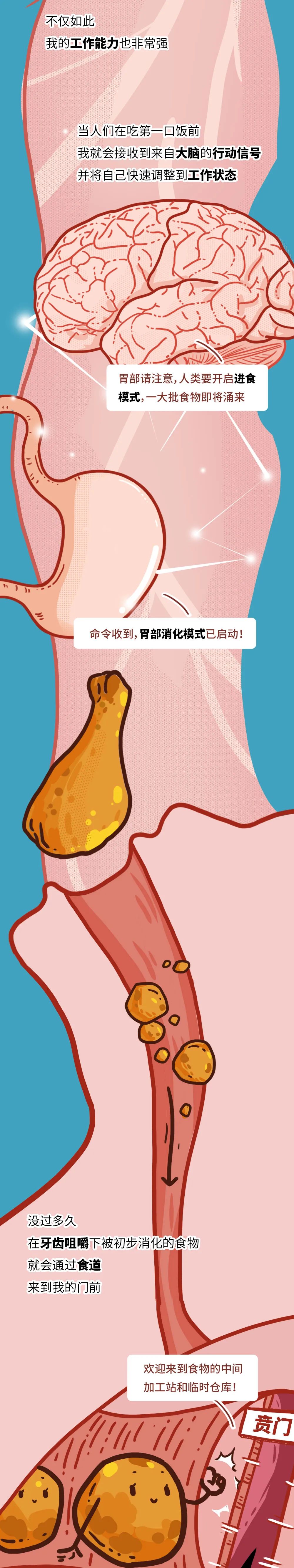 漫画科普：胃，你怎么样了？？？