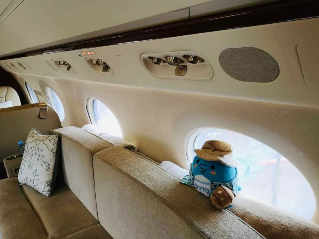 现在包一架飞机居然可以跟订机票一样简单