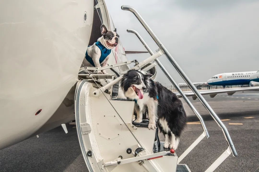 现在包一架飞机居然可以跟订机票一样简单