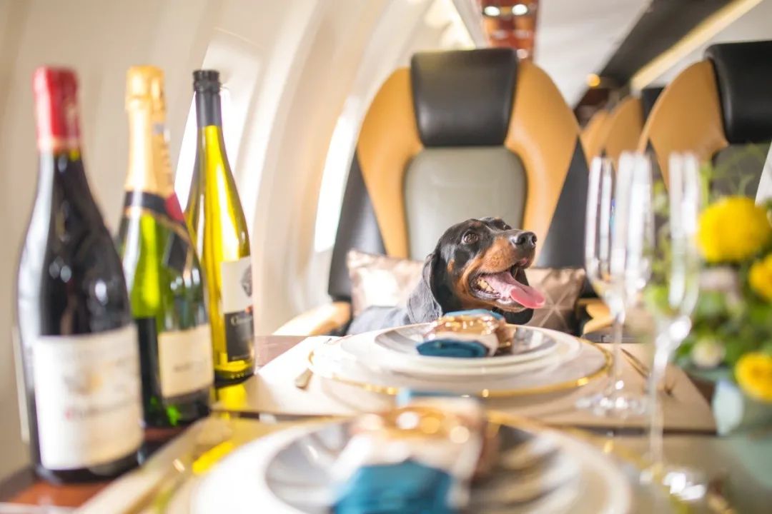 现在包一架飞机居然可以跟订机票一样简单