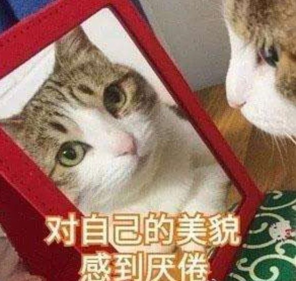 碳酸饮料快乐水,碳酸快乐水