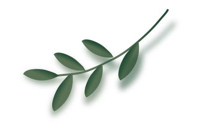 活动即将结束,明天将抽取最后一个特等大奖!