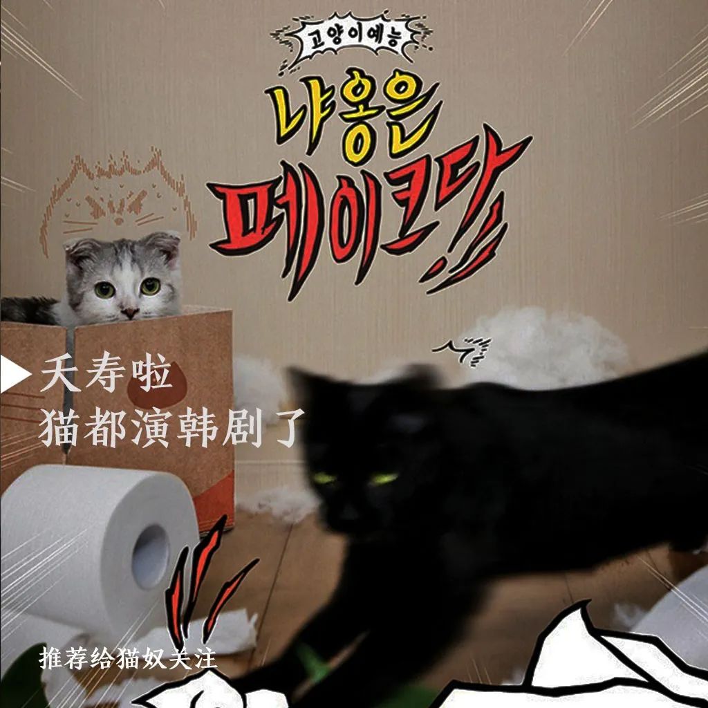 你喜欢的是他的容颜还是灵魂,你是爱她的皮囊还是灵魂