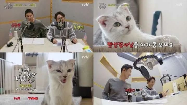 你喜欢的是他的容颜还是灵魂,你是爱她的皮囊还是灵魂