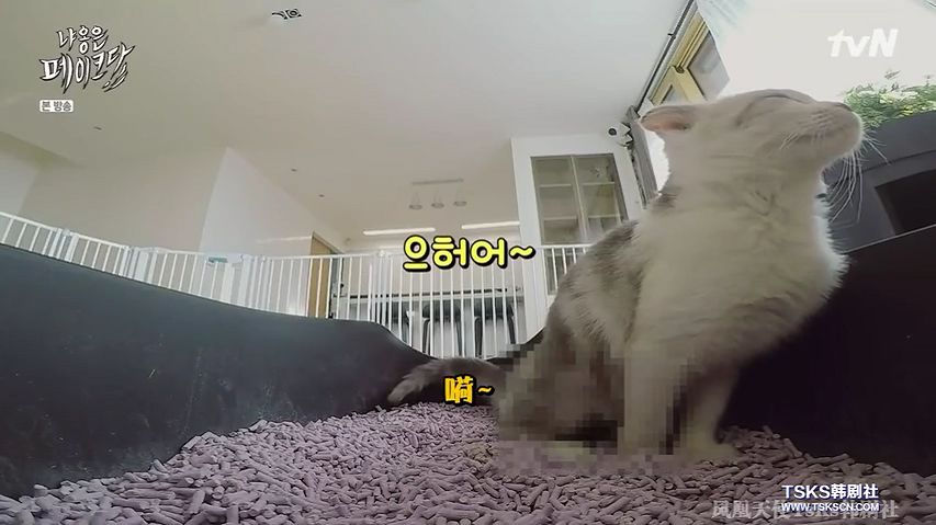 你喜欢的是他的容颜还是灵魂,你是爱她的皮囊还是灵魂