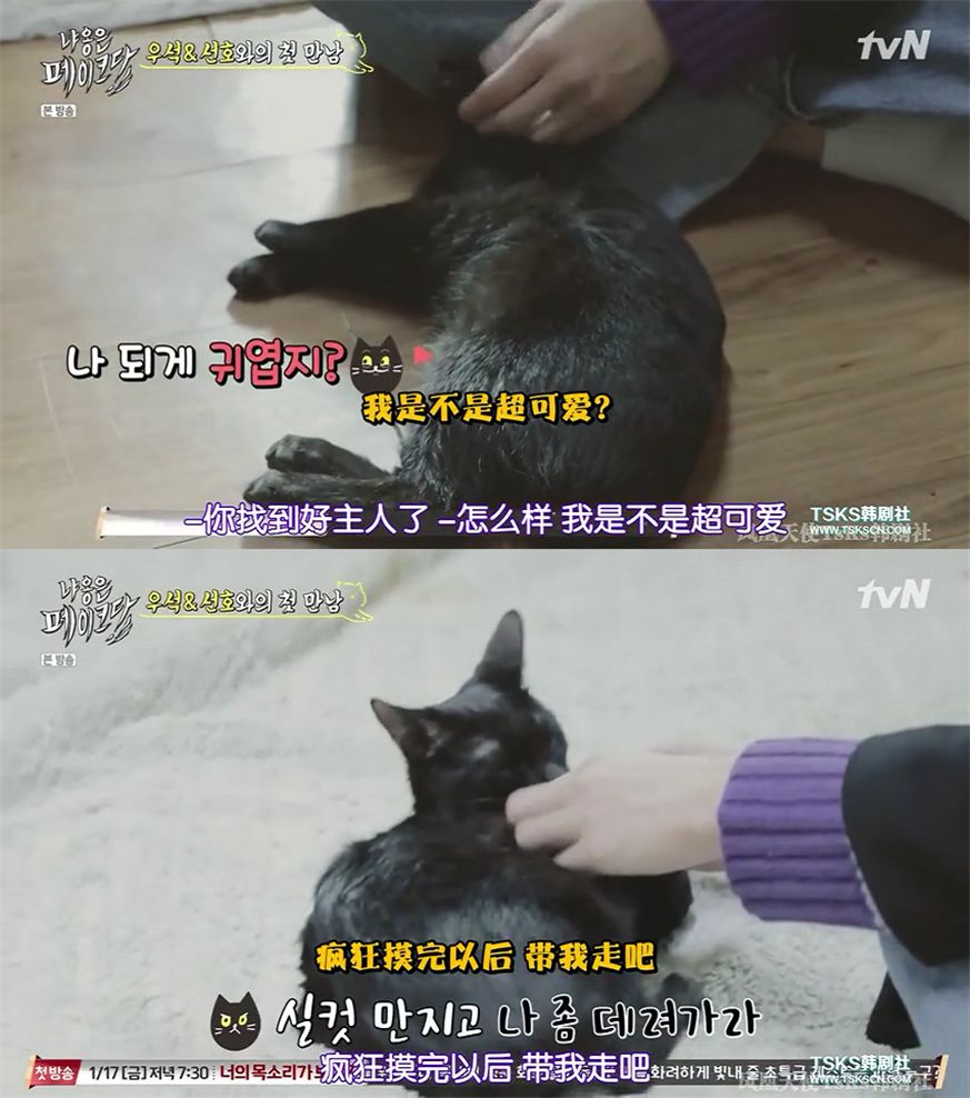 你喜欢的是他的容颜还是灵魂,你是爱她的皮囊还是灵魂