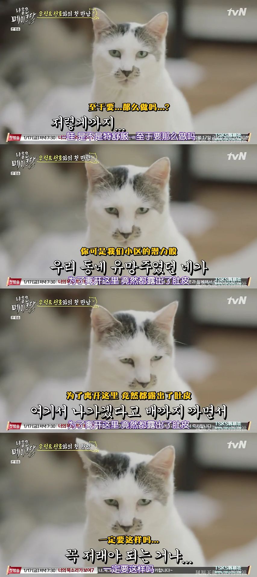 你喜欢的是他的容颜还是灵魂,你是爱她的皮囊还是灵魂